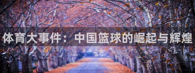 体育大事件：中国篮球的崛起与辉煌