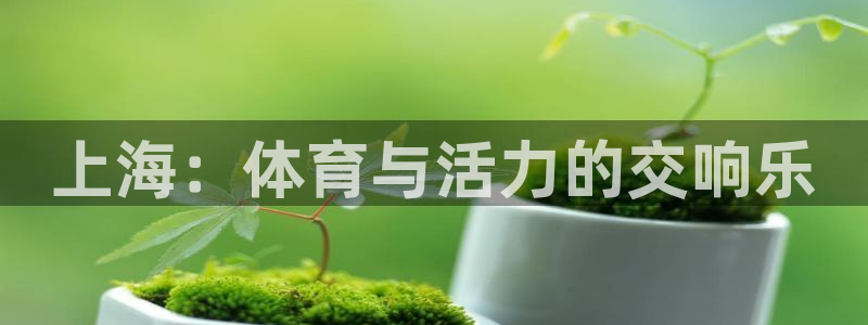 上海：体育与活力的交响乐