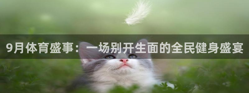 9月体育盛事：一场别开生面的全民健身盛宴