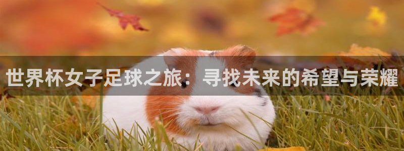 世界杯女子足球之旅：寻找未来的希望与荣耀