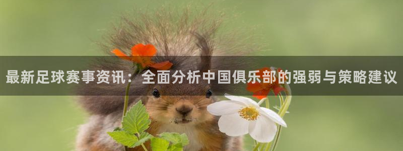 最新足球赛事资讯：全面分析中国俱乐部的强弱与策略建议
