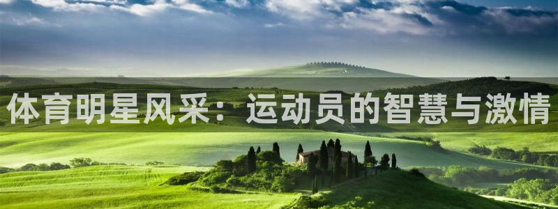 体育明星风采：运动员的智慧与激情