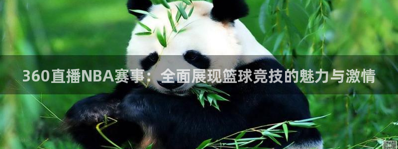 360直播NBA赛事：全面展现篮球竞技的魅力与激情
