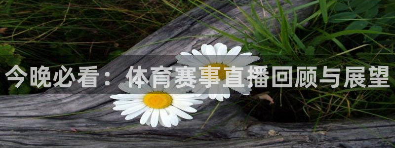 今晚必看：体育赛事直播回顾与展望