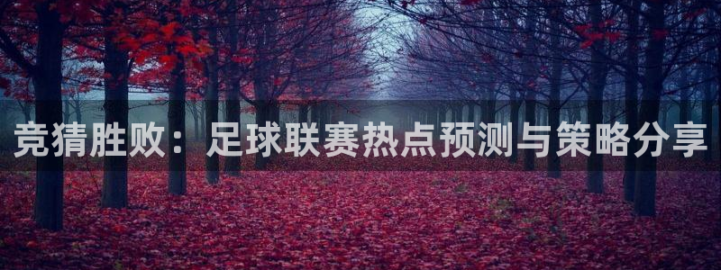 竞猜胜败：足球联赛热点预测与策略分享