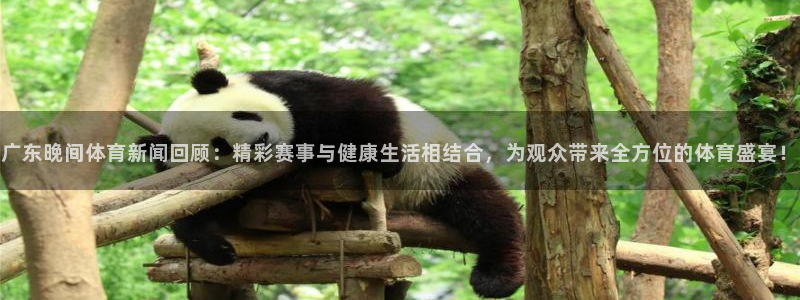 广东晚间体育新闻回顾：精彩赛事与健康生活相结合，为观众带来全方位的体育盛宴！