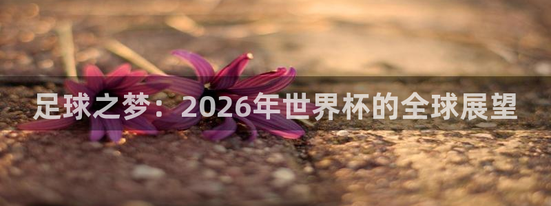 足球之梦：2026年世界杯的全球展望