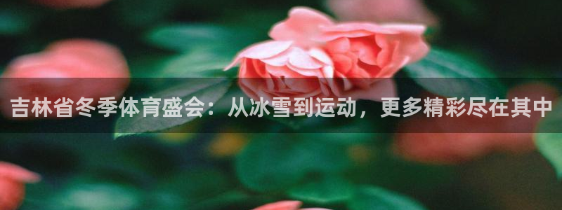 吉林省冬季体育盛会：从冰雪到运动，更多精彩尽在其中