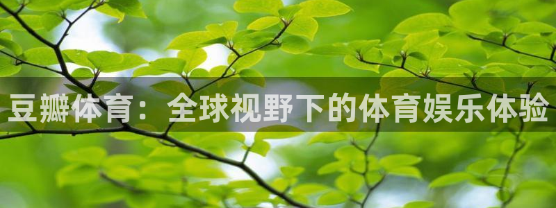 豆瓣体育：全球视野下的体育娱乐体验