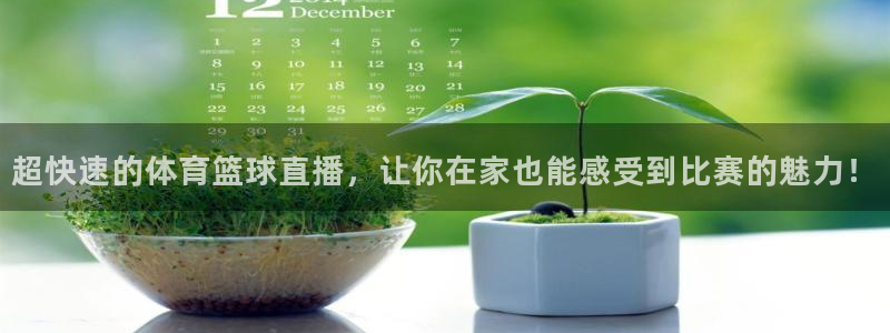 超快速的体育篮球直播，让你在家也能感受到比赛的魅力！