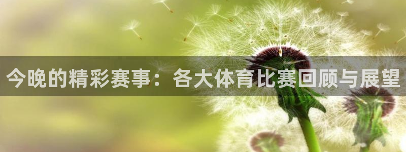 今晚的精彩赛事：各大体育比赛回顾与展望