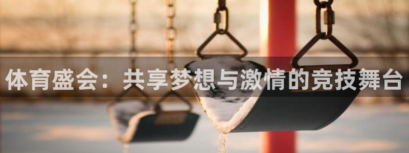 体育盛会：共享梦想与激情的竞技舞台