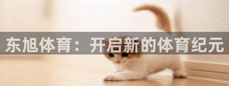 东旭体育：开启新的体育纪元