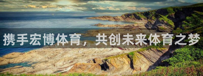 携手宏博体育，共创未来体育之梦