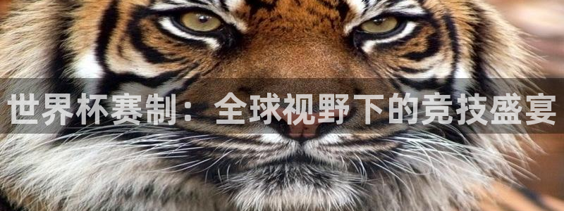 世界杯赛制：全球视野下的竞技盛宴