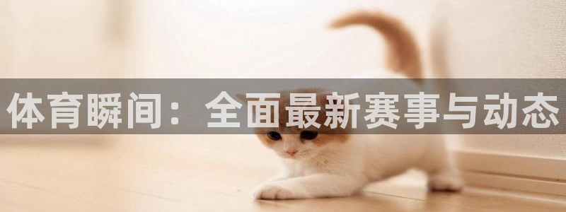 体育瞬间：全面最新赛事与动态