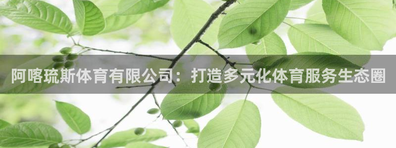 阿喀琉斯体育有限公司：打造多元化体育服务生态圈