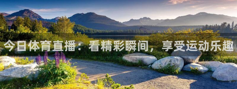 今日体育直播：看精彩瞬间，享受运动乐趣