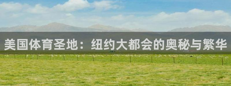 美国体育圣地：纽约大都会的奥秘与繁华