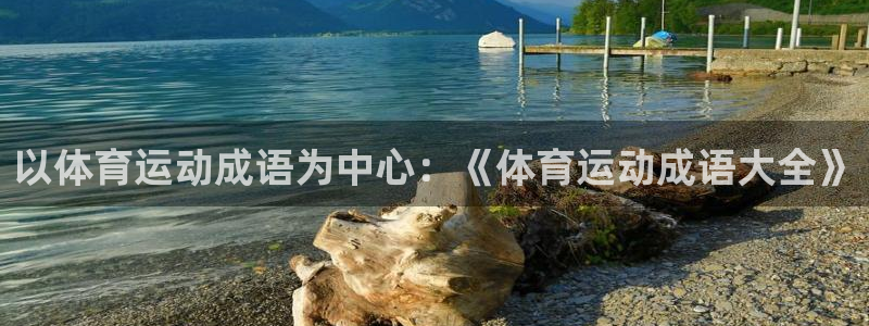 以体育运动成语为中心：《体育运动成语大全》