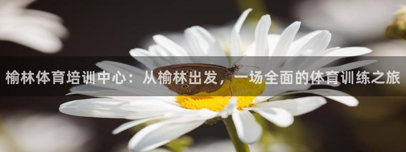 榆林体育培训中心：从榆林出发，一场全面的体育训练之旅