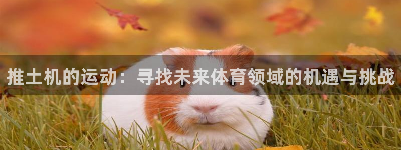 推土机的运动：寻找未来体育领域的机遇与挑战