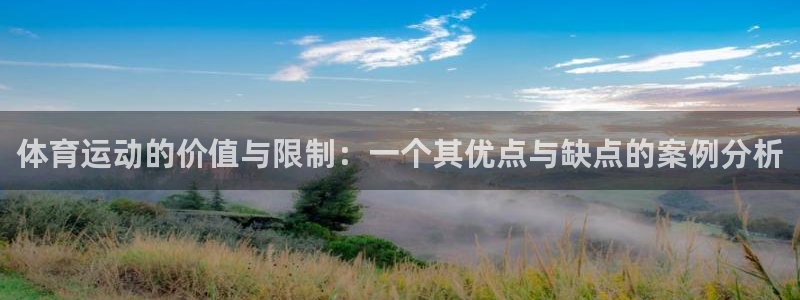 体育运动的价值与限制：一个其优点与缺点的案例分析