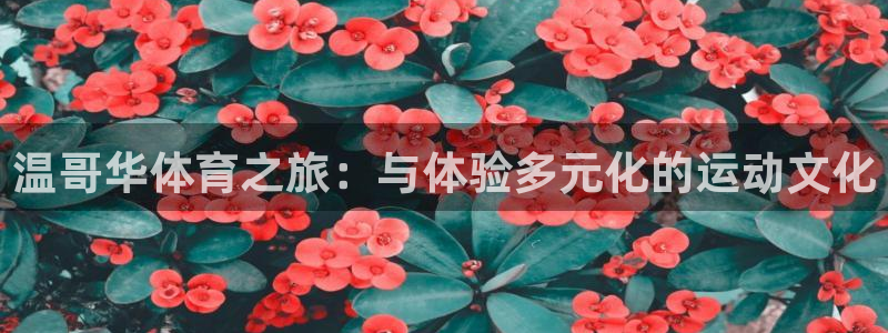 温哥华体育之旅：与体验多元化的运动文化