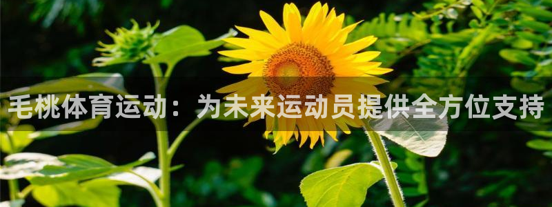 毛桃体育运动：为未来运动员提供全方位支持
