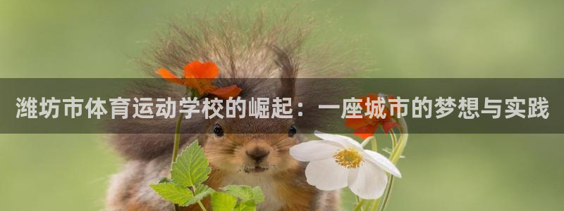 潍坊市体育运动学校的崛起：一座城市的梦想与实践