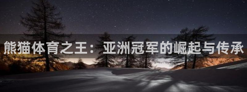 熊猫体育之王：亚洲冠军的崛起与传承