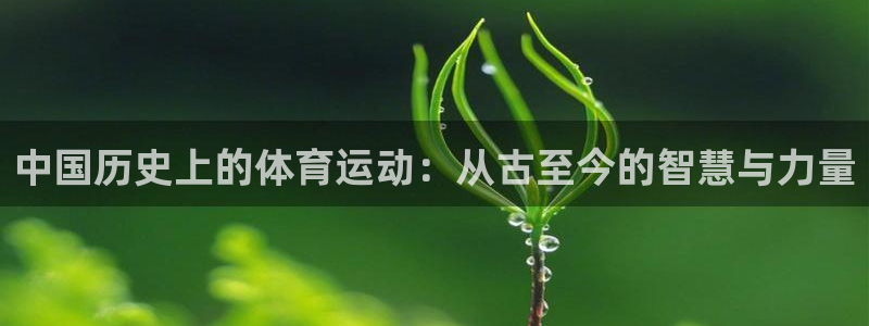 中国历史上的体育运动：从古至今的智慧与力量
