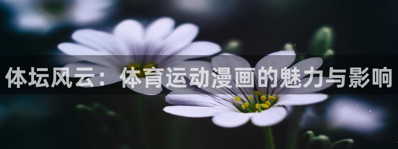 体坛风云：体育运动漫画的魅力与影响