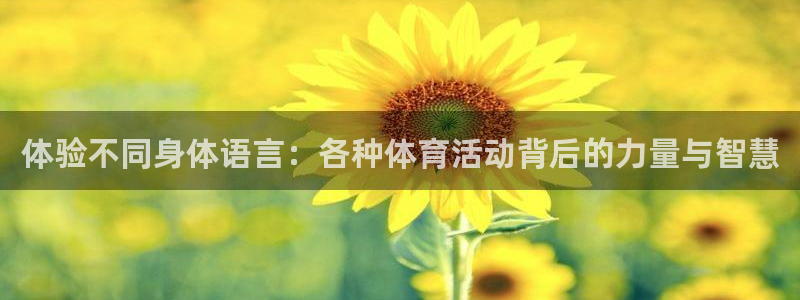 体验不同身体语言：各种体育活动背后的力量与智慧