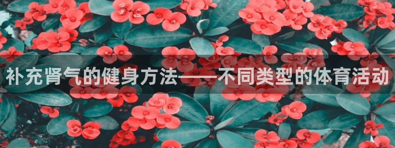 补充肾气的健身方法——不同类型的体育活动