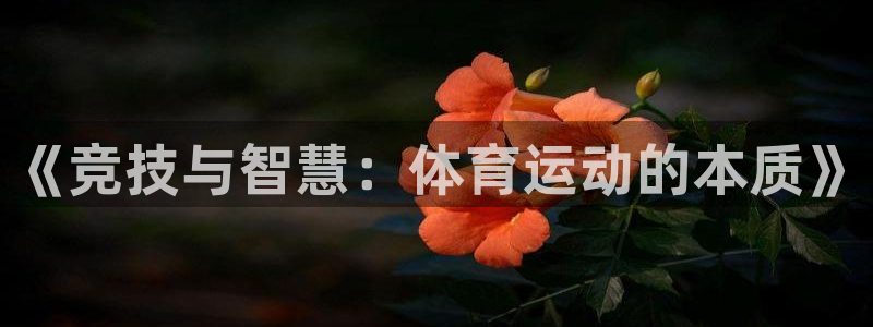 《竞技与智慧：体育运动的本质》