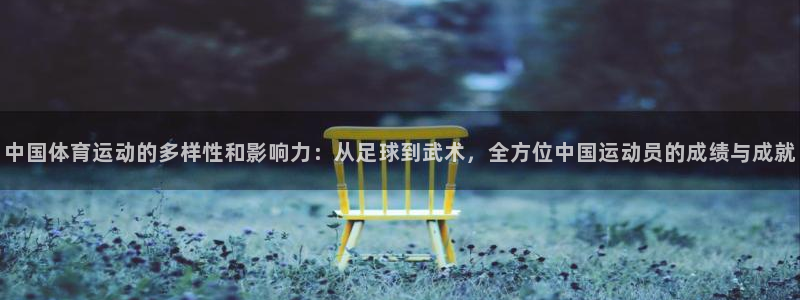 中国体育运动的多样性和影响力：从足球到武术，全方位中国运动员的成绩与成就