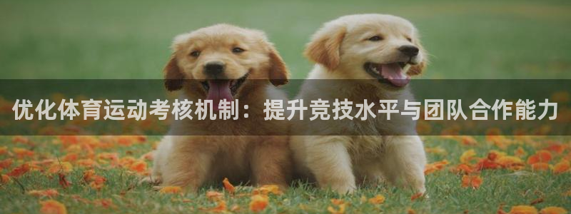 优化体育运动考核机制：提升竞技水平与团队合作能力