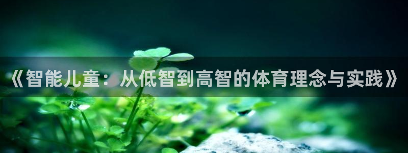 《智能儿童：从低智到高智的体育理念与实践》