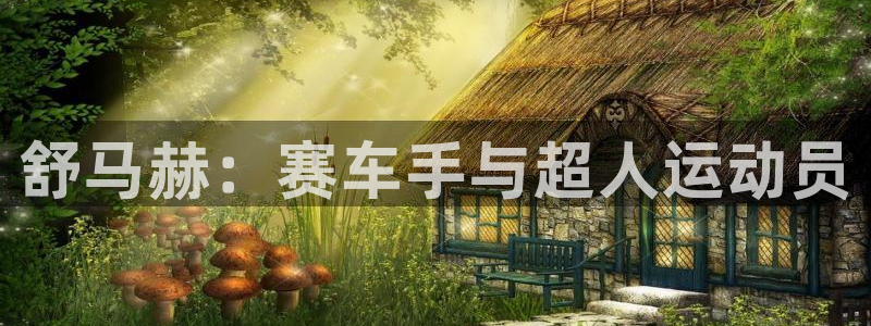 舒马赫：赛车手与超人运动员