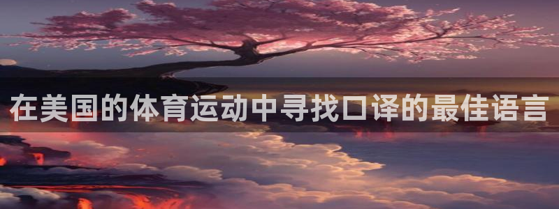 在美国的体育运动中寻找口译的最佳语言