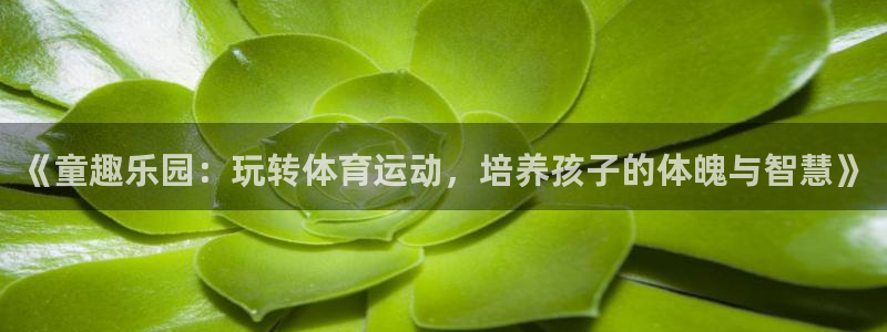 《童趣乐园：玩转体育运动，培养孩子的体魄与智慧》