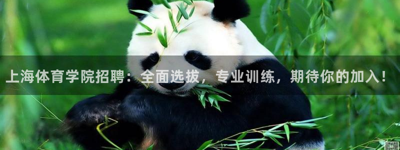 上海体育学院招聘：全面选拔，专业训练，期待你的加入！