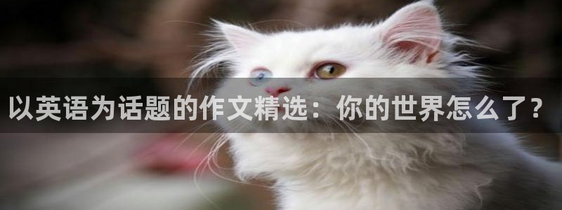 以英语为话题的作文精选：你的世界怎么了？